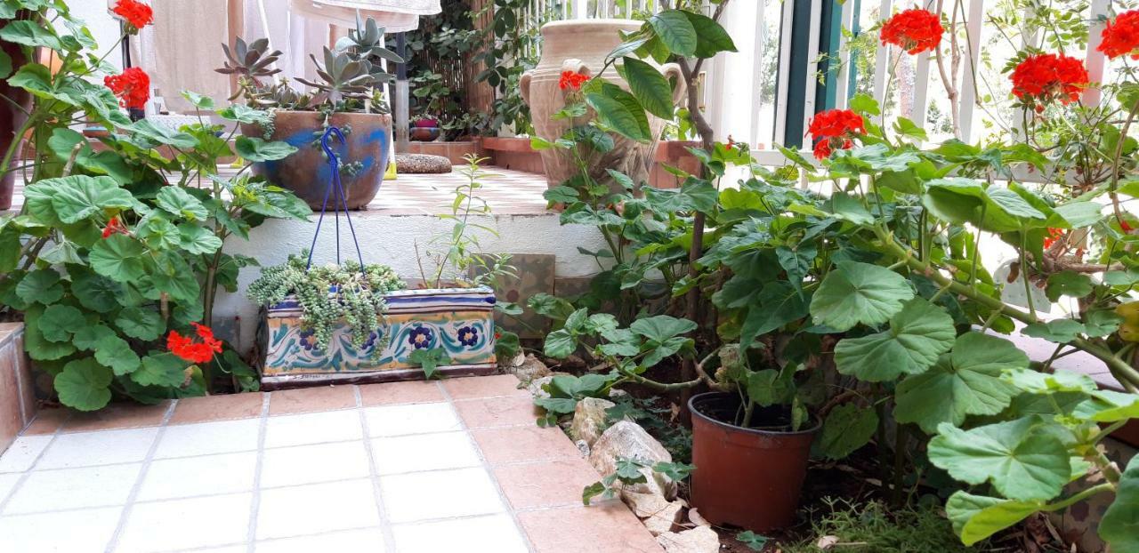 דירות מונדלו Casa Perciata - Locazione Turistica מראה חיצוני תמונה